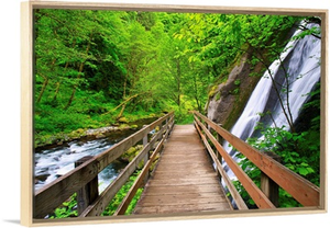 Small Waterfall Along Tanner Creek In Columbia River Gorge; Oregon, USA
