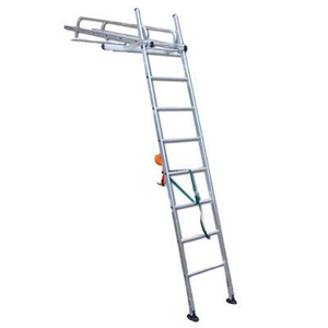 Conservatory Roof Ladder