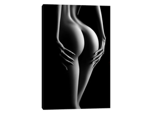 Sensual Nude Woman XI
