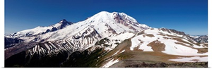 Mount Rainier View