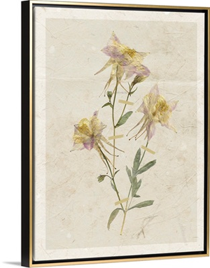 Pressed Columbine I