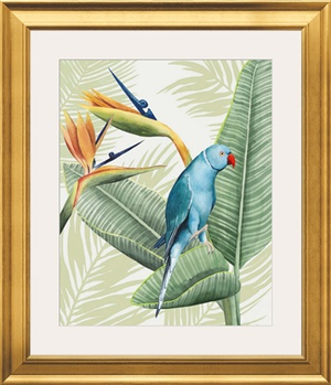 Avian Paradise III