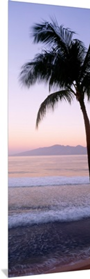 Hawaii, West Maui Beach At Twilight, Palm Tree Along Shoreline
