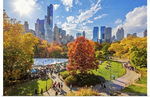 New York City, Manhattan, Central Park, Central Park South
