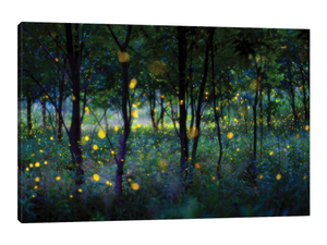Magic Fireflies