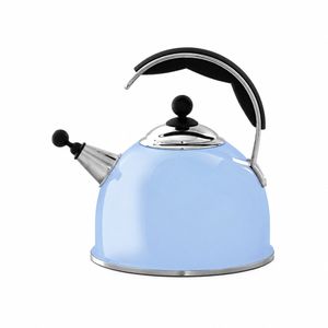 AGA Stainless Steel Whistling Kettle Duck Egg Blue