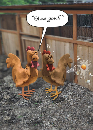 Funny Illustrated Hens Bless You Card