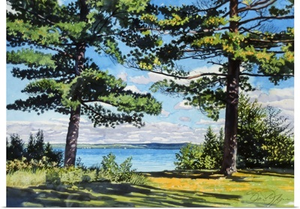 White Pines