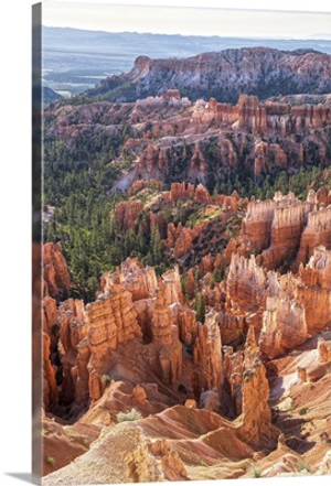 Hoodoos and forests in Bryce Canyon Amphitheater, Utah