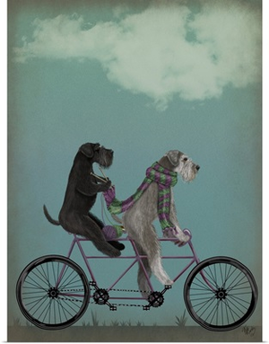 Schnauzer Tandem
