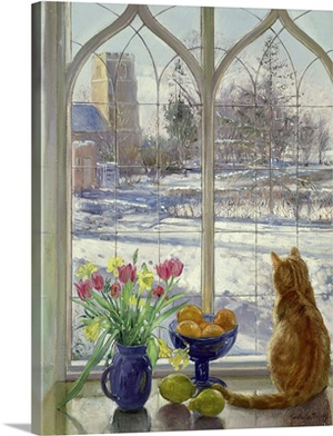 Snow Shadows and Cat