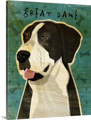 Black Great Dane No Crop