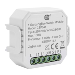 Click Smart+ 100W 1G Smart Switching Receiver CSP041