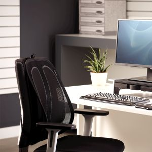 Office Suites™ Mesh Back Support