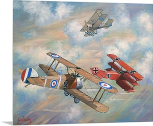 The Red Baron Bugs Out