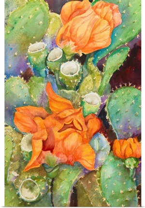 Desert Blooms