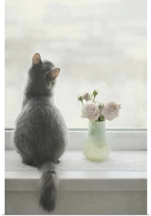Furry cat with flower vase at window sill waiting