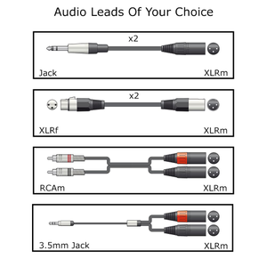 Generic Audio Lead(s) Of Your Choice