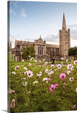 St Patrick's Cathedral and Flowers, Dublin, Ireland