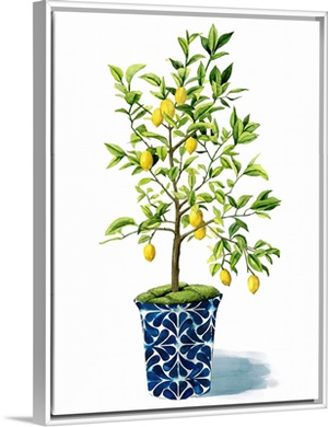 Fruit Tree II