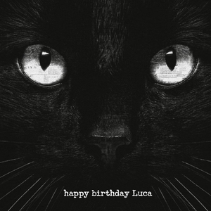 Moonpig Photogragh Of A Black Cat Card