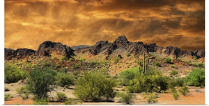 New Mexico Border