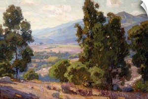 A Vista