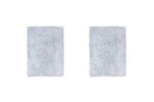 F&P SleepStyle Filters - 2 pack