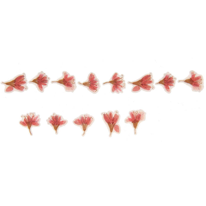 Rico Washi Stickers Transformation Cherry Blossom