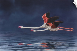 Flying Flamingos
