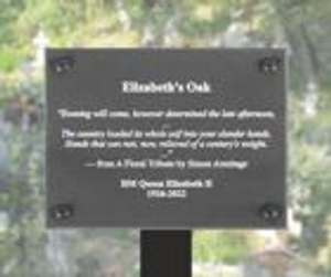 Slate Effect Memorial Tree Plaque