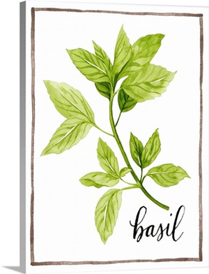 Watercolor Herbs I