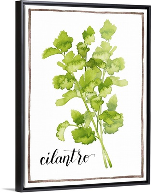 Watercolor Herbs IV