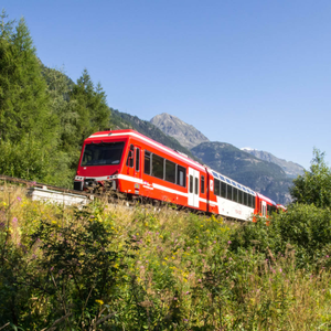 Mont Blanc Express & Rhône Cruise