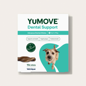 Dental Support Advanced Dental Sticks - 14 Small Sticks