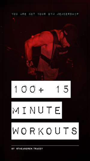 Bulldog Gear - 100+ 15 Minute Workouts - Andrew Tracey