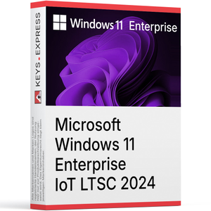 Microsoft Windows 11 Enterprise IoT LTSC 2024 Key (5 PC)