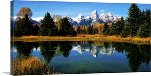 Grand Teton National Park XI