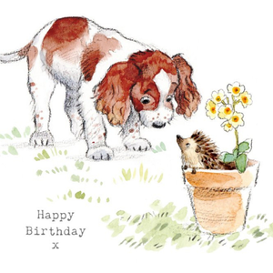 Moonpig Cute Illustrated Springer Spaniel Birthday Card