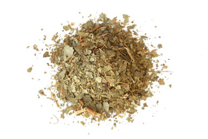 Witch Hazel Leaf