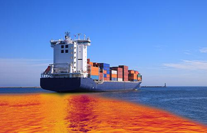 Marpol (DNV Certified) (Maritime)