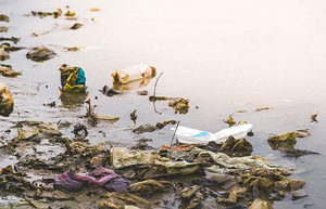 Marine trash and debris awareness (US)