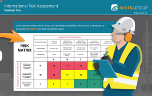 Risk Assessment (International)