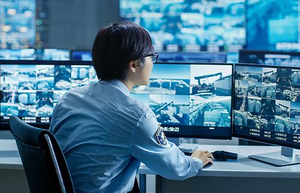 International Ship and Port Facility Security (ISPS) (Maritime)