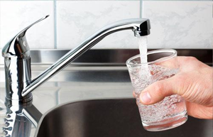 Legionella