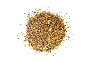 Red Clover Sprouting Seed Organic