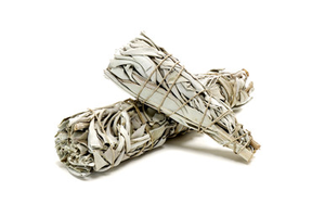 White Sage Bundle Organic