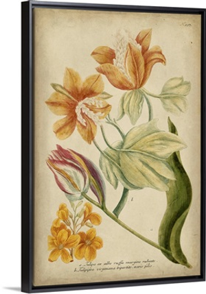 Weinmann Tropical Floral II