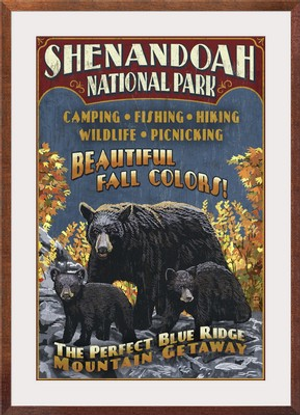 Shenandoah National Park, Virginia - Bear and Cubs Vintage Sign: Retro Travel Poster