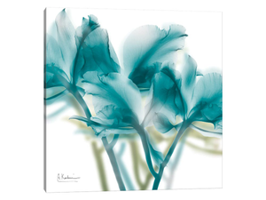 Harbor Blue Beauty II